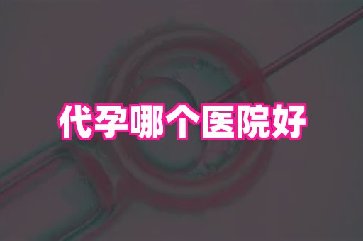 武汉助孕网 4